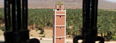 Palmeraie sur marocain